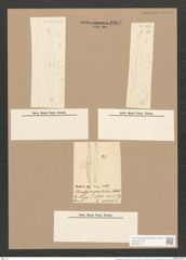 Pleurosigma var. kuetzingii Grun. (de-Toni-Nr.: Genus 13, Species 1076) Zeichnungen Sammlung Grunow Nr. 1968 (NHMW-BOT-W0369112)